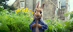 Peter Rabbit